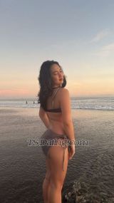 jill sander Jakarta Transex 