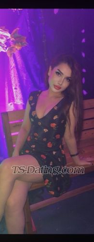 trans girl KajalP 8824118 trans girl KajalP 8824118