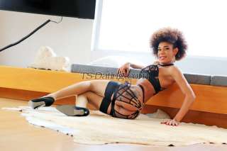 trans girl Kalisee 6191773 trans girl Kalisee 6191773