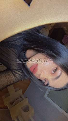 trans girl Kamelyaa 8387765 trans girl Kamelyaa 8387765