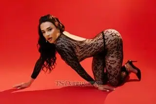 Shemale KamilaDior1 8379233 Shemale KamilaDior1 8379233