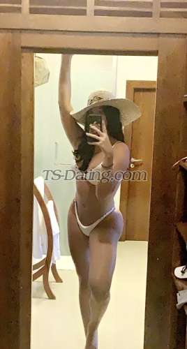 trans girl Kandyxoxo 5570132 trans girl Kandyxoxo 5570132