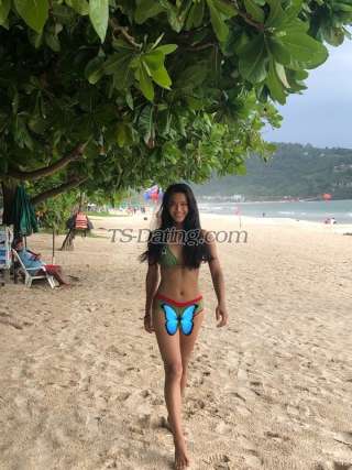 trans girl Kara6969ts 2880556 trans girl Kara6969ts 2880556