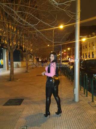 trans girl KarolDias 7183867 trans girl KarolDias 7183867