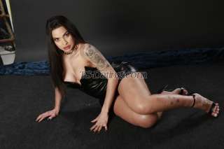 trans girl KarolDias 7502233 trans girl KarolDias 7502233