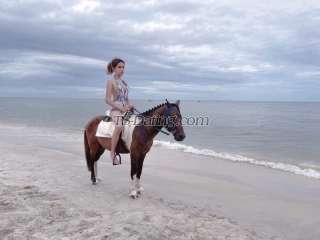 trans girl Kartoon 7141461 trans girl Kartoon 7141461