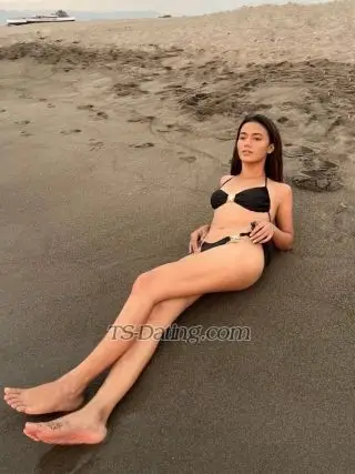 Shemale Katara 9126146 Shemale Katara 9126146