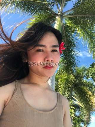 trans girl KathLim01 3033885 trans girl KathLim01 3033885