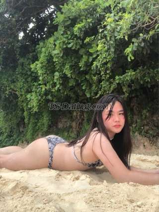 trans girl KathLim01 5434022 trans girl KathLim01 5434022
