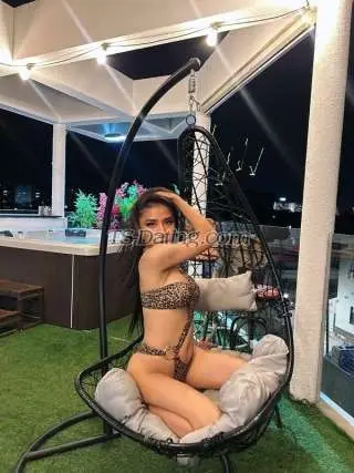 Shemale Kathrina24 6462971 Shemale Kathrina24 6462971