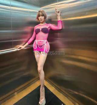 trans girl Katrinacat 3509117