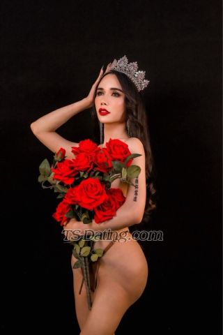 trans girl Katrinacat 8159325 trans girl Katrinacat 8159325