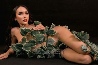 trans girl Katrinacat 8212977 trans girl Katrinacat 8212977