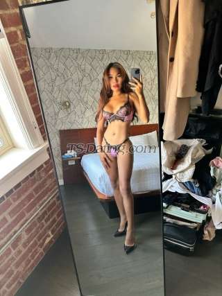 trans girl Katrinbella 8153289 trans girl Katrinbella 8153289