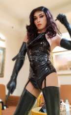 KattyKinky Batam City Transex Step Into My World - Where Elegance Meets Absolute Control.

I’m Queen Katty, Kuala Lumpur’s elite Transsexual Mistress, known for refined beauty, intellectual charm, and an irresistible commanding presence. Whether you seek sensual domination, mental surrender, or tailored roleplay, I provide an upscale experience designed around your deepest desires and boundaries. Each encounter is uniquely curated always consensual, discreet, and unforgettable. 

My Style 
Elegant. Powerful. Controlled.
Every session is about mutual respect, chemistry, and mindful surrender. You may tremble under my gaze, but you’ll never feel unsafe.

I embrace clients of all experience levels, from shy first-timers to seasoned submissives. I believe in guided exploration and lasting impressions, not rushed encounters. 

Kinky/Fetish/BDSM Services Offered:
1. Kinky Girlfriend Experience (GFE)
2. Tease and Denial
3. Roleplay Scenarios
4. Cuckold Dynamics
5. Feminization/Sissy Transformation
   - Make-up Application (Heavy Make-up Available)
   - Clothing Fetish and Worship
     - Latex/Rubber/Full Leather Cat Suit
     - Sexy Body Suit (Leotard)
     - Garters, Stockings, and Panties
6. Rimming/Ass Licking (Giving and Receiving)
7. Oral Services (Receiving and Giving)
8. Rope Bondage
   - Shibari/Kinbaku
   - Frog Tie
   - Hogtie
9. Mummification
10. Nipple Play and Torture
11. Edging, Milking, and Force Orgasms
12. Force Cum-Eating 
13. Foot Fetish and Foot Jobs
14. Cock and Ball Torture (CBT)
   - Ball Busting
   - Ball Spanks
   - Slapping and Spanking
   - Whipping, Flogging, and Caning
15. Key Holder in Chastity (Cock Cage)
16. Contract Dominatrix (Controller) 
17. Variety of Sex Toys
18. Strap-On Play
19. Anal Play
   - Fingering
   - Prostate Massage
   - Fisting
   - Foot Fucking
20. Dog Training Play
21. Golden Shower
22. Party and Play (Extended Sessions)
23. Incall and Outcall Services 

Please share your fantasies, fetishes, or any specific limits you have regarding the sessions you're interested in. I’m here to cater to your desires and ensure a fulfilling experience

Etiquette 
Please be respectful in your first message. 
Introduce yourself briefly and include your preferred date/time, duration, and interests. Rude or explicit messages will be ignored and blocked. 
Cleanliness, discretion, and manners are non-negotiable. 

Contact Me : 
Available daily with advance notice.
Contact 
Call/WhatsApp: +60 11 2756-3607 
WeChat: ts_katty95 

I look forward to getting you in front of Me on your knees... !! 