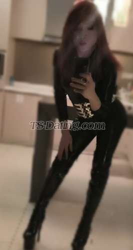 trans girl KattyKinky 6231431 trans girl KattyKinky 6231431