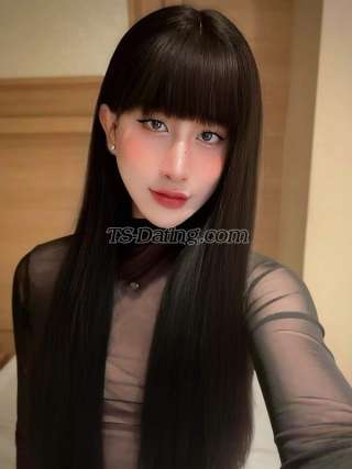 trans girl Kelly502 3650527 trans girl Kelly502 3650527