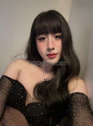 trans girl Kelly502 5463181 trans girl Kelly502 5463181