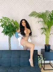 Kendals26 Tirana Transex Hello My Loves, I am Roxana, A Luxury Escort with a Fitness
Body Desired, to offer you my best VIP services, do not
hesitate to contact me, you will not regret it.!