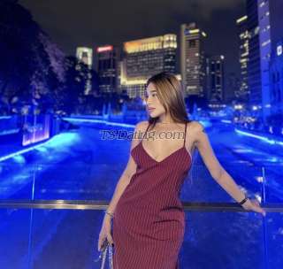 trans girl SeductressTS 4384804 trans girl SeductressTS 4384804