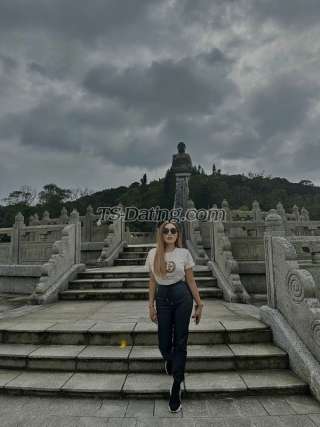 trans girl SeductressTS 9093304 trans girl SeductressTS 9093304