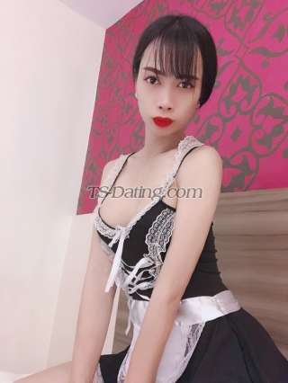 trans girl Kerryangle 8737637 trans girl Kerryangle 8737637