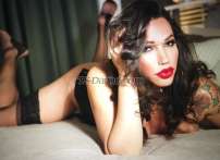 Keyla Ts Singapore Transex Hallo, ich bin Keyla Ts UND GETRÄNKE UND MEHR FÜR IHR sehr aktive Traumtranssexuelle mit super Qualität? Da liegst du richtig Dann bin ich genau was du willst Ich komme aus Brasilien und habe... Einen Super Schwanz und einen sexy Traumkörper mit einem wunderschönen Gesicht Einen sehr potenten Penis von 20x6 cm und bin immer super-mega-immer heiß total geil mit viel Sperma, Sehr schöne große Titten von 110 für aufregende Momente Ich komme zu 100%! Echter Orgasmus garantiert, da ich keine Hormone mehr nehme! Von Anfängerin bis Könnerin, Probiere alles an mir aus und du wirst nichts verlieren. Ob elegant oder verführerisch im Bikini, Lack, Leder, Latex, für jede Fantasie habe ich etwas zu bieten. Außerdem kannst du meine zarte, weiche Haut spüren, die kein TS-Girl hat Durch NO STOP 24 Stunden Service. Immer geil und frei Kein Date oder Termindruck, inklusive einem Drink Besuche mich in meinem diskreten Privatapartment Schönes Geiles Küsschen Verpasse deine Chance nicht! ....  