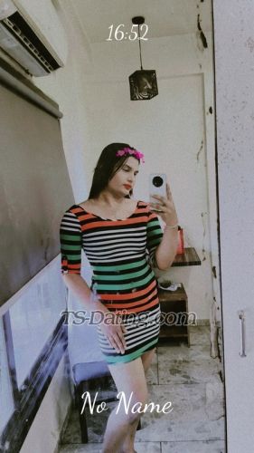trans girl Khwahis 2136275