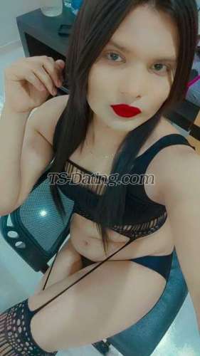 trans girl Khwahis 8762932 trans girl Khwahis 8762932