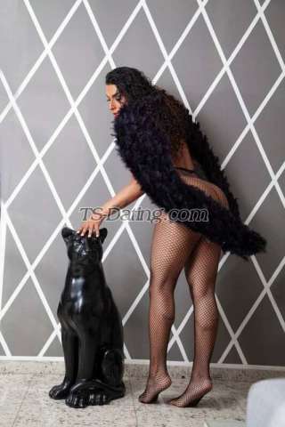 trans girl Kikahotgirl 3581569 trans girl Kikahotgirl 3581569