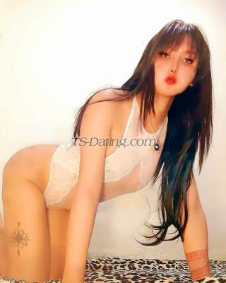 trans girl Kiki4you 5304635 trans girl Kiki4you 5304635