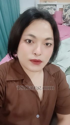 trans girl Kim26 2967065 trans girl Kim26 2967065