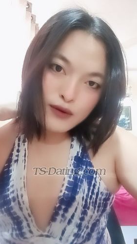 trans girl Kim26 2967349 trans girl Kim26 2967349