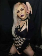Kimberly6969 Larnaca Transex  Larnaka προγράμματα ενεργητικού
και παθητικού ρόλου, με πλήρη
στύση και ιδιαίτερα : Mistress & slave,
fisting, golden shower, girlfriend experience..video porn
with me to.fuck
guyhttps://onlyfans.com/darcy-transΓια
περισσότερες πληροφορίες
μπορείς να επισκεφθείς τη σελίδα
μου: 👉 εμπιστοσύνη και προσφέρω
απόλυτη διακριτικότητα και
εχεμύθεια, που αποτελούν βασικά
στοιχεία κάθε συνάντησης. ✔
Καλοί τρόποι και σεβασμός ✔
Υπομονή με αρχάριους ✔
Σοβαρότητα και επαγγελματισμός
✔ Απόλυτη εχεμύθεια (ιδιαίτερα
για διακριτικά άτομα) ✔ Σεβασμός
στις προσωπικές προτιμήσεις ✔
Μεγάλη έμφαση στην υγιεινή 
σοβαρή και απόλυτα υγιής.
Διαθέτω πρόσφατες ιατρικές
εξετάσεις με αρνητικά
αποτελέσματα για HIV και
αφροδίσια νοσήματα. 📍 Βρίσκομαι
για περιορισμένο χρονικό
διάστημα στην Κύπρο και αυτή τη
στιγμή εξυπηρετώ στη Λάρνακα. ⚠
ΜΟΝΟ σοβαρά άτομα – δεν απαντώ
σε ανούσια μηνύματα.I offer both
active and passive role experiences, with full performance
and a highly engaging presence. Services: Mistress & slave,
fisting, golden shower, girlfriend experience, BDSM, WS,
piggy pay, role play, companionship with a psychological
approach, cross dressing, outdoor meetings, intimate
experiences, and play with toys (dildo, etc.). For more
information, you can visit my page: 👉 value trust and
provide complete discretion and confidentiality, which are
essential elements of every meeting...