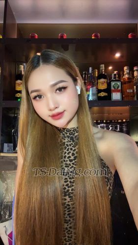 trans girl Kimmy 5833687