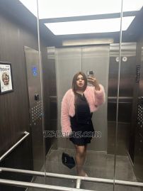 Kimmy29 Sliema Transex Hi. It's me Kim from Asia! If you are looking for passionate, rough and hardcore fun just hit me up and we can arrange it then. 