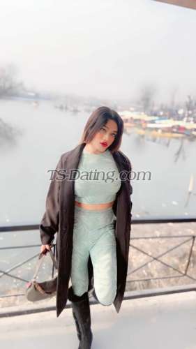 trans girl Kitty69 0418911