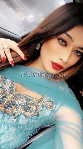 trans girl Kitty69 3731304