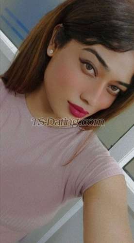 trans girl Kitty69 3812753