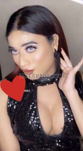 trans girl Kitty69 3885825