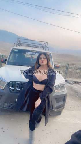 trans girl Kitty69 4594133