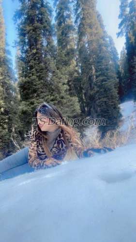 trans girl Kitty69 4594185