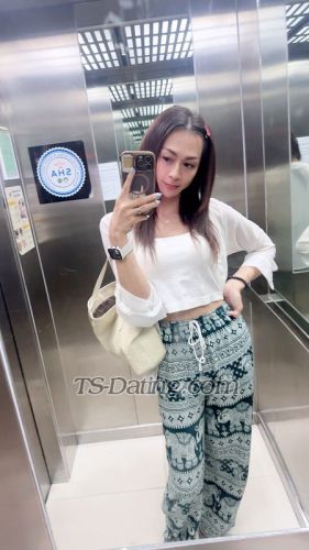 trans girl Kitty69691 8789386 trans girl Kitty69691 8789386