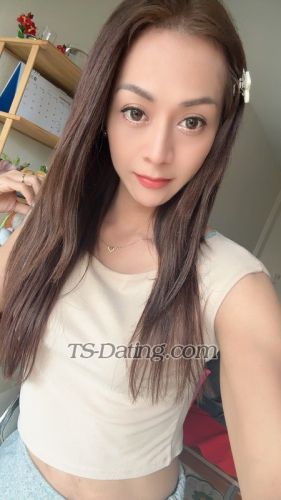 trans girl Kitty69691 8835287 trans girl Kitty69691 8835287