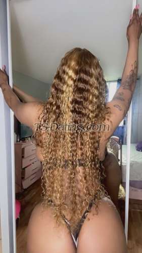 trans girl Kulture 8905979 trans girl Kulture 8905979