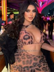 Kylie111 Koh Samui Transex KYLIE SHEMALE ESCORT THAILAND 🇹🇭
📍 In
Chawang
 🌟 This is the hot seductive black from
southern Thailand to make your dreams come true
😍😘❤️

✅ Meet incall - outcall 
✅
Top - Bottom 
✅ 3 Some with Lady 
✅ Sex
cam
✅ Chat sex 
✅ Private photos - video

👉 Call : six six nine nine four seven two eight four
nine six
👉 WhatsApp : + six six nine nine four seven
two eight four nine six 

 ❌ No games & drama ❌