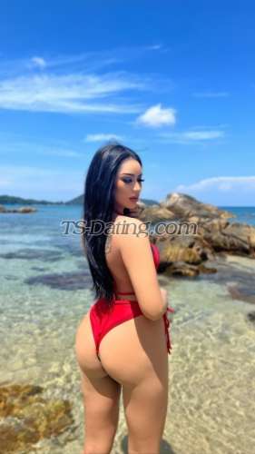 trans girl Kylie111 0445299 trans girl Kylie111 0445299