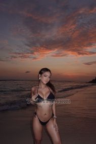 Kylie Yee Orchard Transex Hello there. 

“Luxury isn’t a look — it’s a
presence. And baby, I am the presence.”

💋
About Me 

I’m not the type you scroll past. I’m
the one you fantasize about in silence — and remember long
after I’m gone. Standing 170cm tall with a sultry slim-fit
frame, 65kg of sculpted curves, and a natural D-cup to
complete the picture… I’m the perfect blend of softness
and control.

My energy is addictive, my confidence
is unmatched, and my company? Exquisite. I’m selective
with who I spend time with because I value chemistry,
discretion, and high standards. I’m not here for everyone
— I’m here for the powerful few who understand the
difference between a price… and value. 

💘
Choose Your Experience: 

🌹 The Girlfriend
Experience (GFE)

Soft, sensual, and emotionally
immersive. I don’t just keep you company — I make you
feel desired, adored, and completely
unraveled.
	•	Slow kisses, whispered teasing, and
intimate eye contact
	•	Light cuddling, affectionate
touches, shared laughter
	•	Sweet seduction that
builds naturally — like a forbidden
crush
	•	Conversations that feel real, deep, and
addictive
	•	Every moment feels personal, like
you’re mine (but only for the night)

This is the
kind of night you replay in your head. The kind that feels
like love — until I’m gone.

⸻

🔥
The Dominant Fantasy

For the ones who want to
surrender. You don’t guide the night — I do. And trust
me, I know exactly what to do with you.
	•	Bold,
confident energy from the moment I arrive
	•	Eye
contact that makes you nervous… in the best
way
	•	Light domination, teasing control, power play
(at your comfort level)
	•	You’ll be touched when I
allow it — and how I want it
	•	A magnetic mix of
pain and pleasure, all under my rules

I don’t
ask. I instruct. I don’t beg. I reward. If you’ve never
experienced a woman who knows how to lead — let me show
you what you’ve been missing.


💬 Want
both? Let me decide the rhythm. I can be soft in your lap,
or take charge in your sheets. Either way, you’ll be
begging for more.


🕰️
Availability:

I’m available by advance booking
only — I respect both your time and mine. My preference is
for respectful, generous clients who value exclusivity,
elegance, and good energy.

Available
for:
	•	Private dinners
	•	Overnight
indulgence
	•	Weekend getaways
	•	Travel
companionship (passport-ready)
	•	Discreet elite
meetings

I offer tailored experiences, not rushed
sessions. My time is reserved for clients who seek quality,
discretion, and connection.
	

All rates are for
time and companionship only.

📩 How to
Book:

Ready to experience something
unforgettable?
I’m available by appointment only and
respond to polite, respectful inquiries.

Contact Me
Via:
	•	📱 WhatsApp: [+60199948925] 
	•	
Telegram:[@yourbabynawa] (for longer bookings or
travel)
	•	📍Location: Malaysia – available for
domestic & international travel

Please
include:
	•	Your name
	•	Date/time you’re
requesting
	•	Duration (1hr, dinner, overnight,
etc.)
	•	Your city/location
	•	A short,
respectful intro — I only respond to gentleman
energy.

🚫 No calls. No explicit messages.
Respect my time, and I’ll reward yours.
💎
Discretion guaranteed. My world is invitation-only — now
you just need to ask properly.

“I don’t rush. I
don’t settle. And I don’t repeat what isn’t worth
remembering. If you’re looking for an experience that
stays with you — now you know where to find me.”
