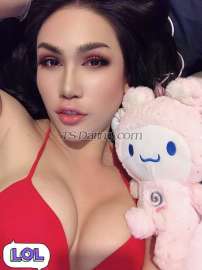 kathylbthai Bangkok Transex Hi🤗  I'm Kathy😘Welcome to visit my profile
I’m from Thailand 🇹🇭  Available in Thailand now
Im Ladyboy with 7.5inc can be top and bottom
Will bring everyone of you to the heaven :)I have
room for Incall and party and happy together Please🙏
keep me in contact by✅Line ID : Cattyzadee 
✅Ig : Cattylovethanomyat❤️WhatsApp:
+66822744083❤️WhatsApp: +66641747472And let's
meet me at Sukhumvit area thank you 🙏😊 take
care.❤️❤️ Top & Bottom big one❤️
Girlfriend Experience❤️ Threesome❤️ Cum on
my body and face .