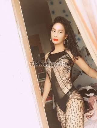 trans girl kattoy 7967453